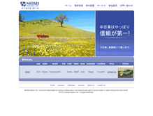 Tablet Screenshot of meiseimotors.com